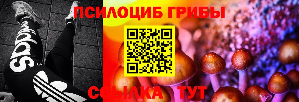 Галлюциногенные грибы мицелий Вышний Волочёк